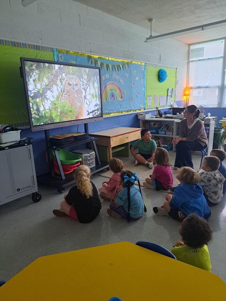 students watching a video in class