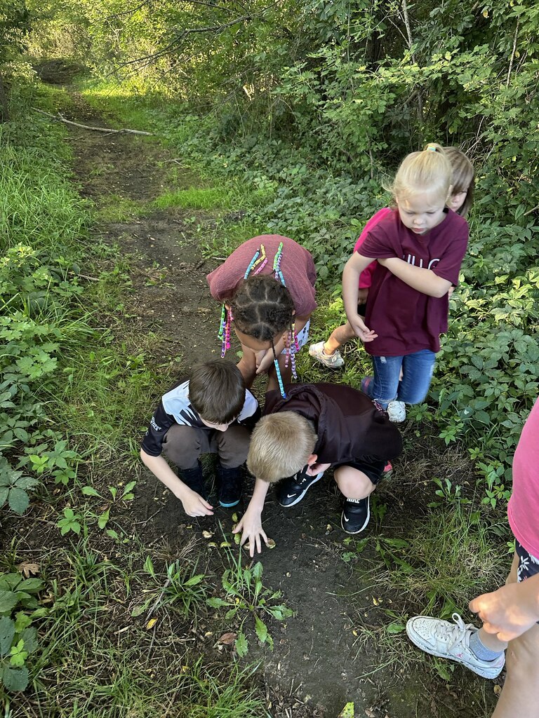 kids on a nature walk