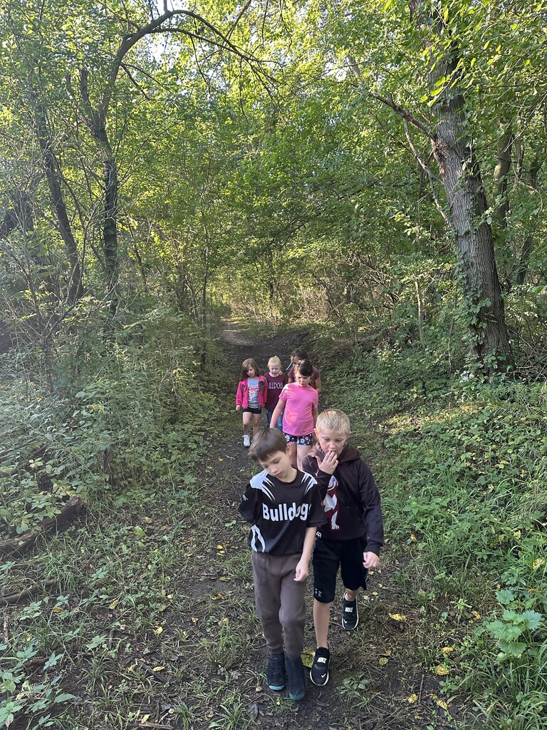 kids on a nature walk
