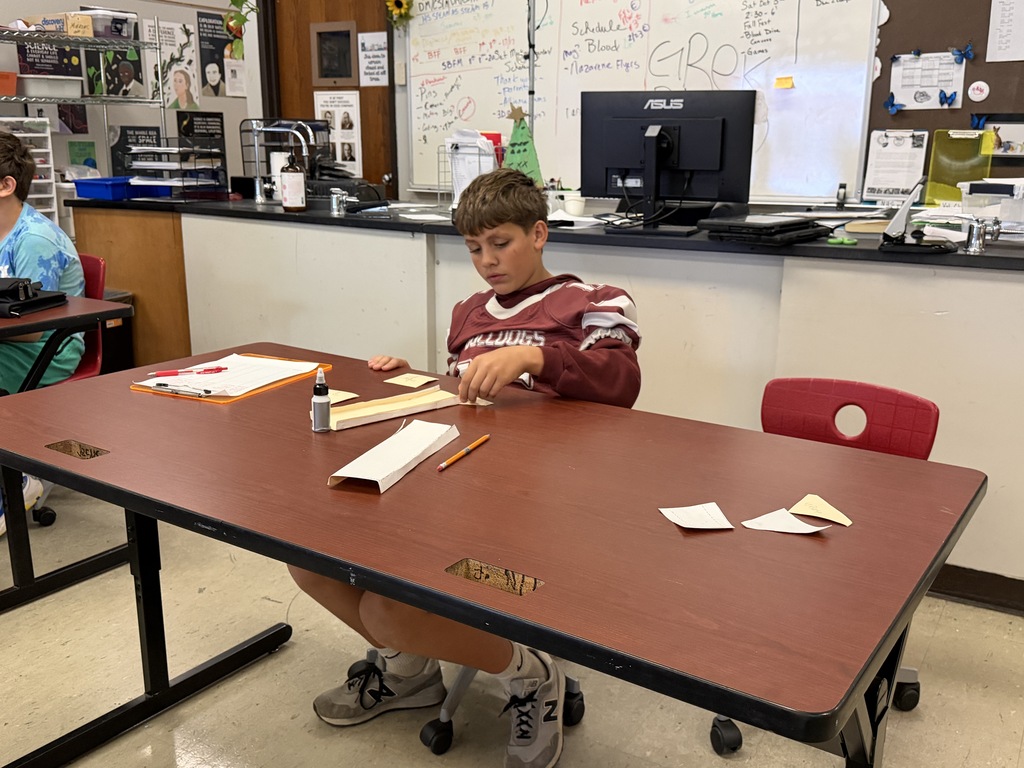 students working on a project in class