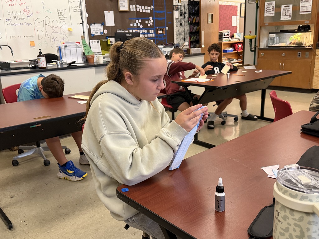 students working on a project in class