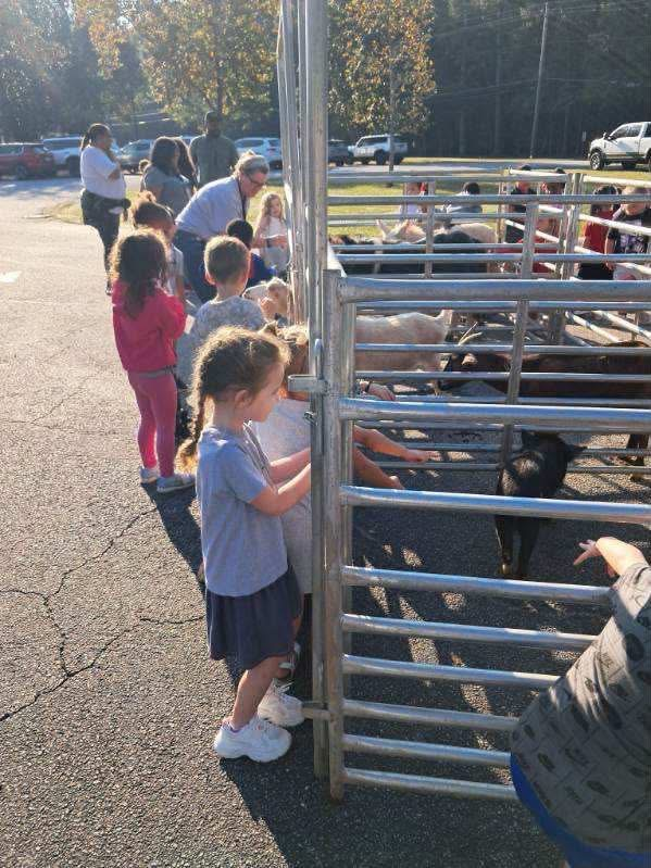 Pre-K students enjoyed Farm Day at MCPS.