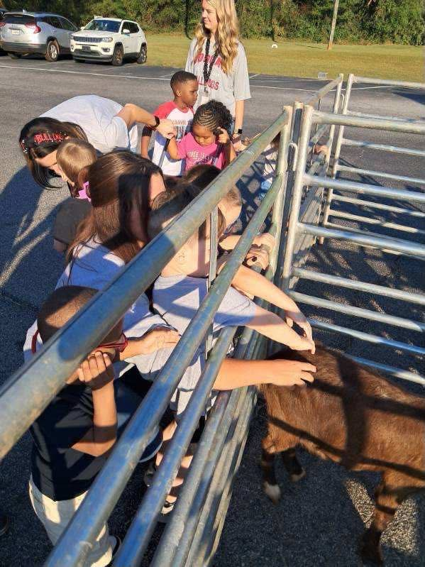Pre-K students enjoyed Farm Day at MCPS.