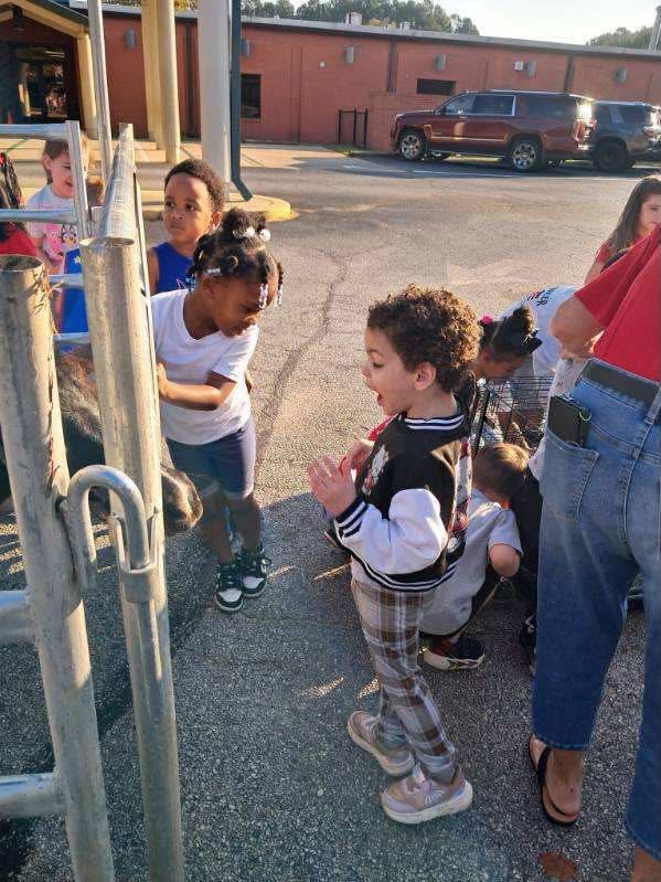 Pre-K students enjoyed Farm Day at MCPS.