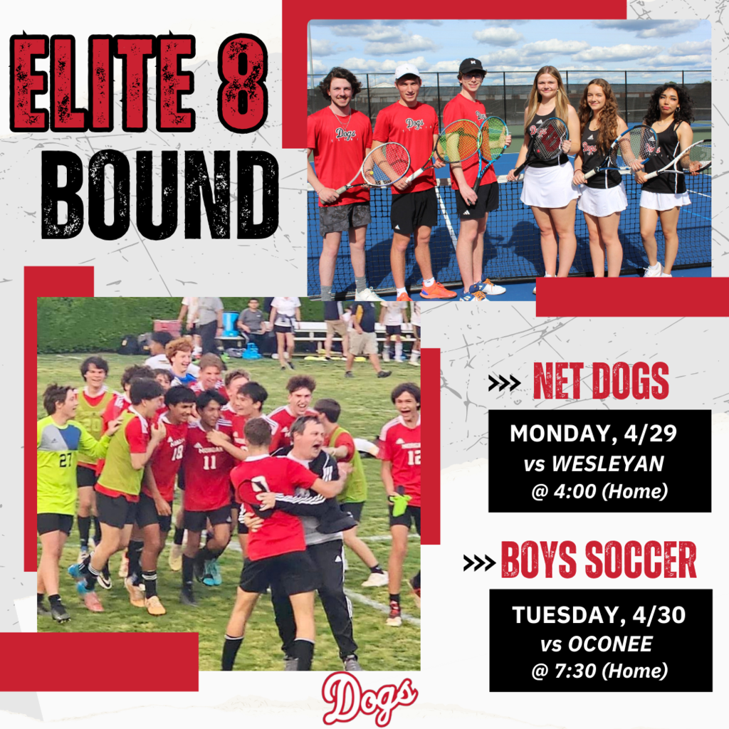 Elite 8