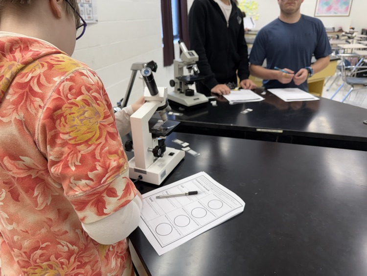 Students examining evidence.