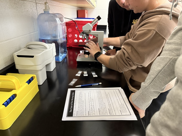 Students using their microscopy skills.
