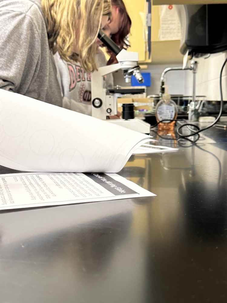 Students comparing samples.