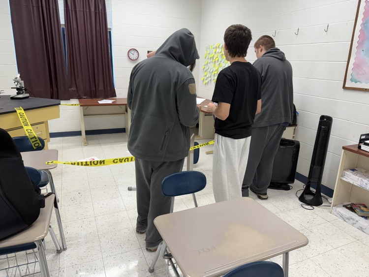 Examining the crime scene
