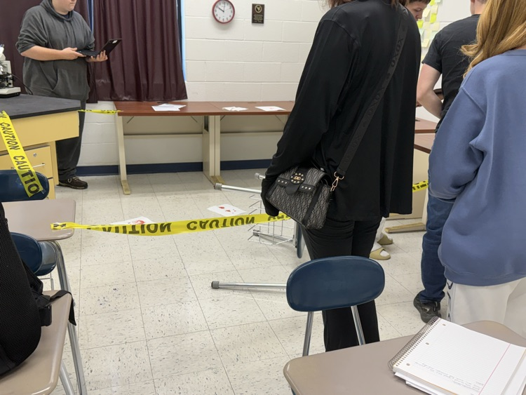 Examining the crime scene