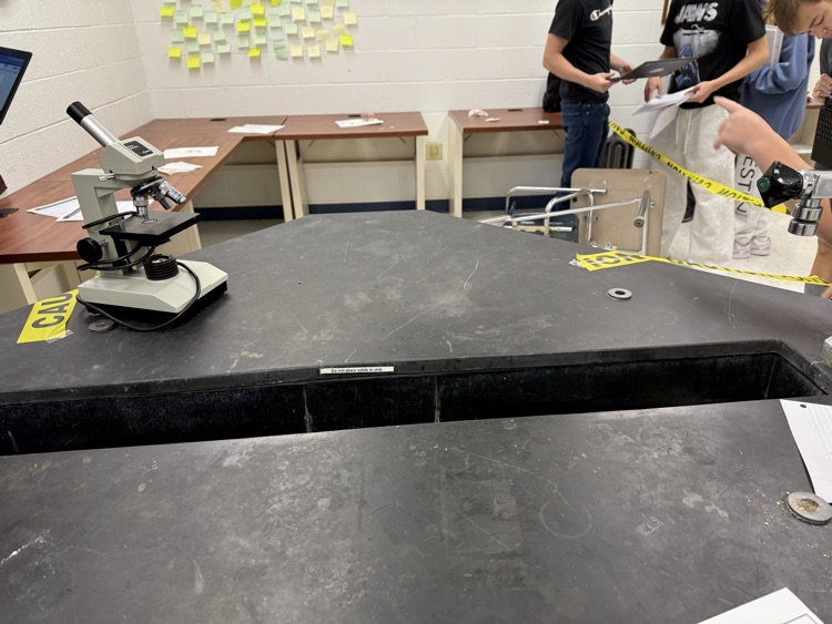 Examining the crime scene 