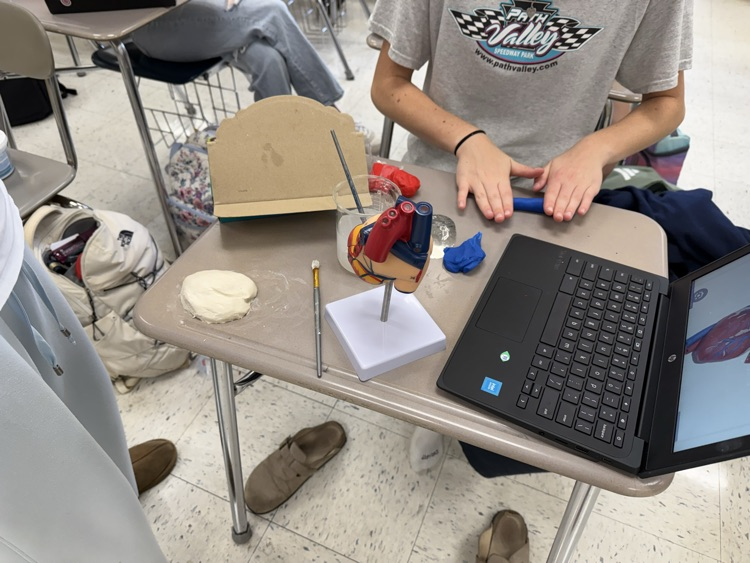 making the heart model 