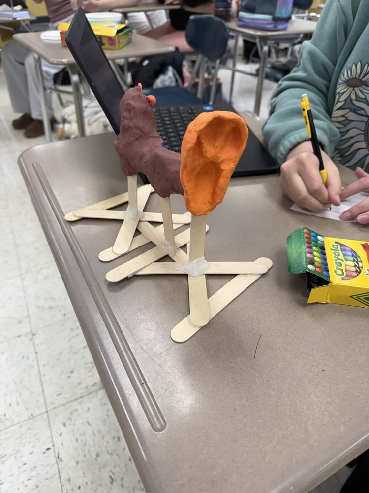 ear model