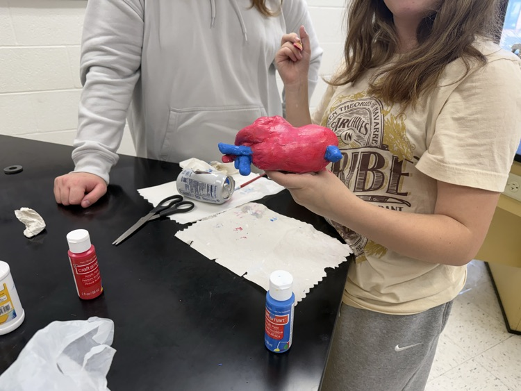 heart model 
