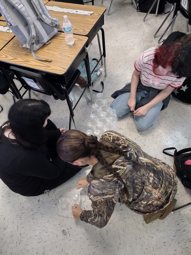 Students in ELA 9 