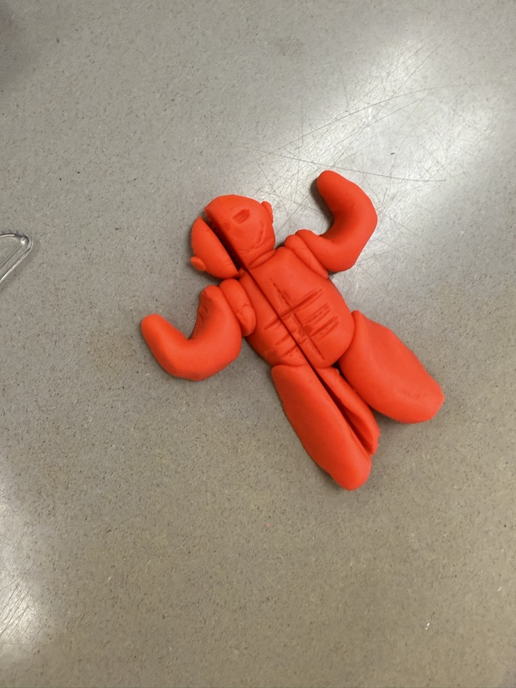sagittal 