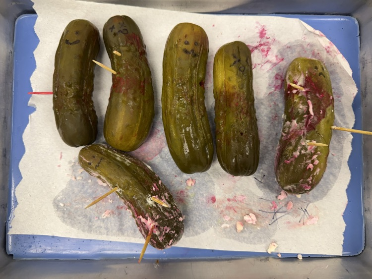 pickles