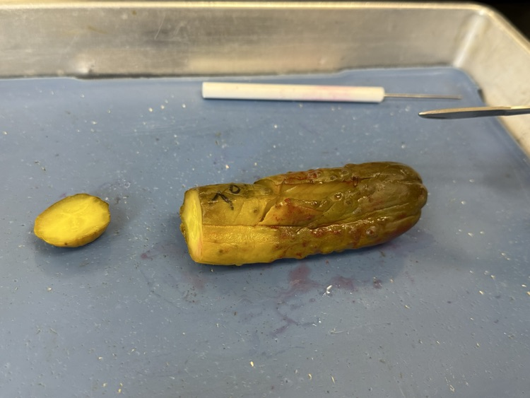 pickle autopsy