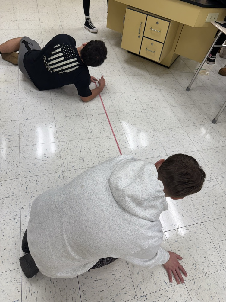 measuring the scene