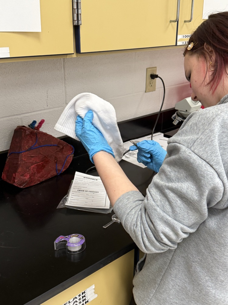 analyzing evidence