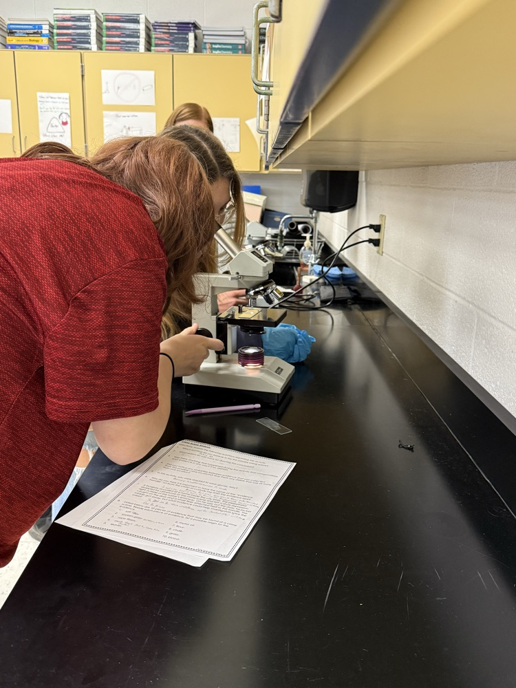 analyzing evidence
