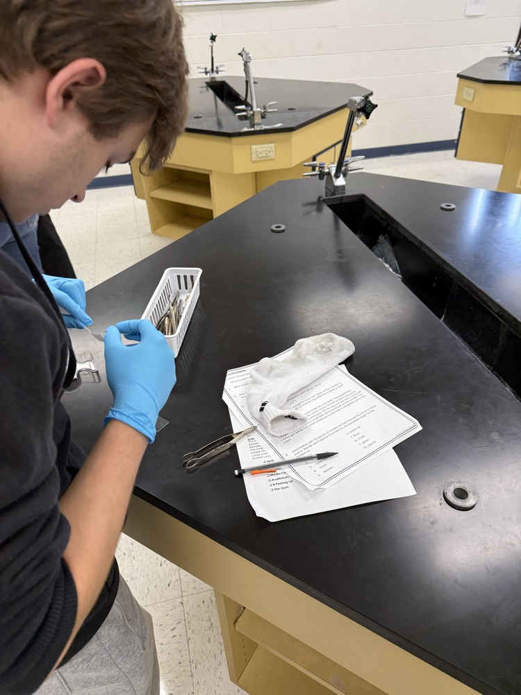 analyzing evidence