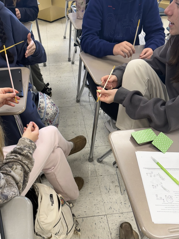 creating skeletal muscle model