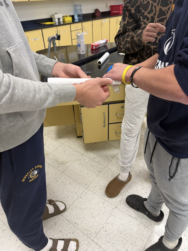 creating skeletal muscle model