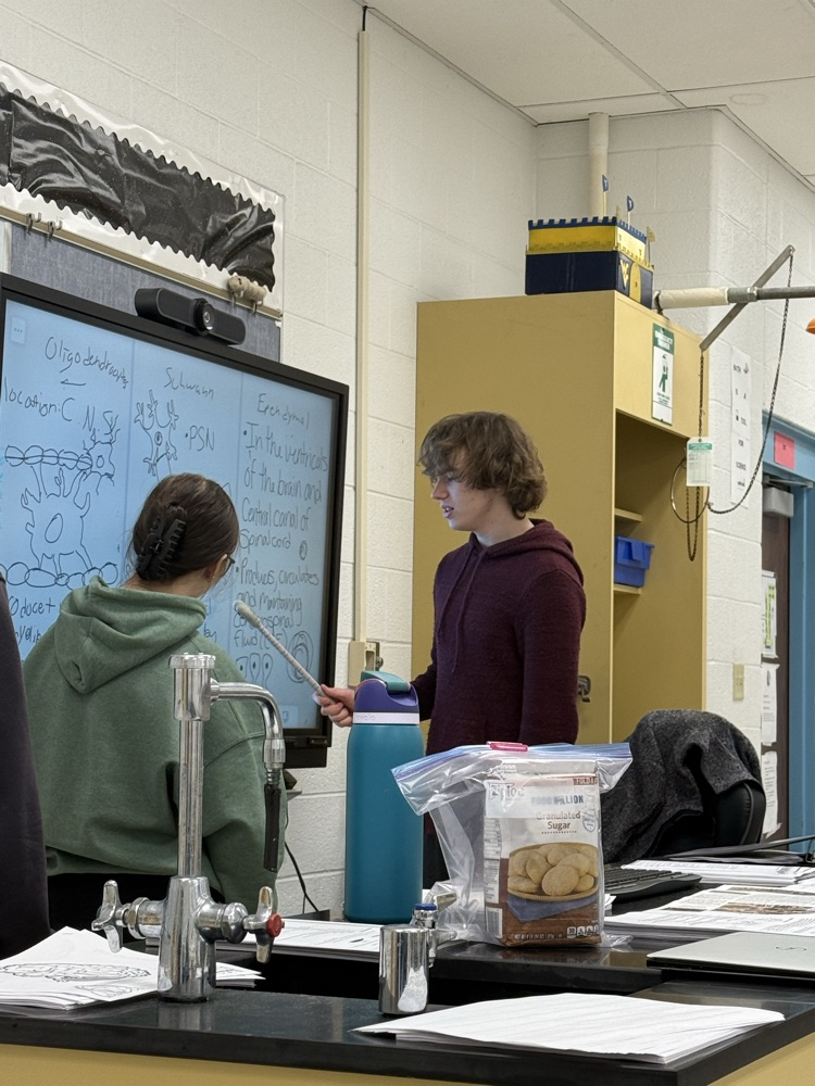 explaining different types of neuroglial cells
