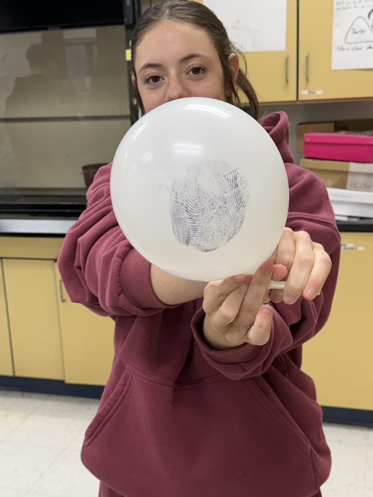 analyzing fingerprint patterns