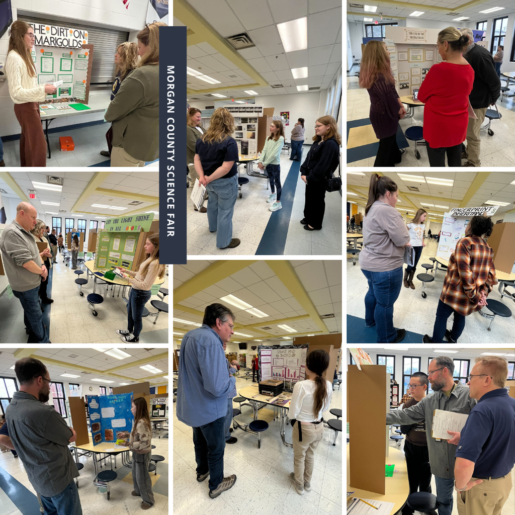 Collage of students sharing science fair projects.