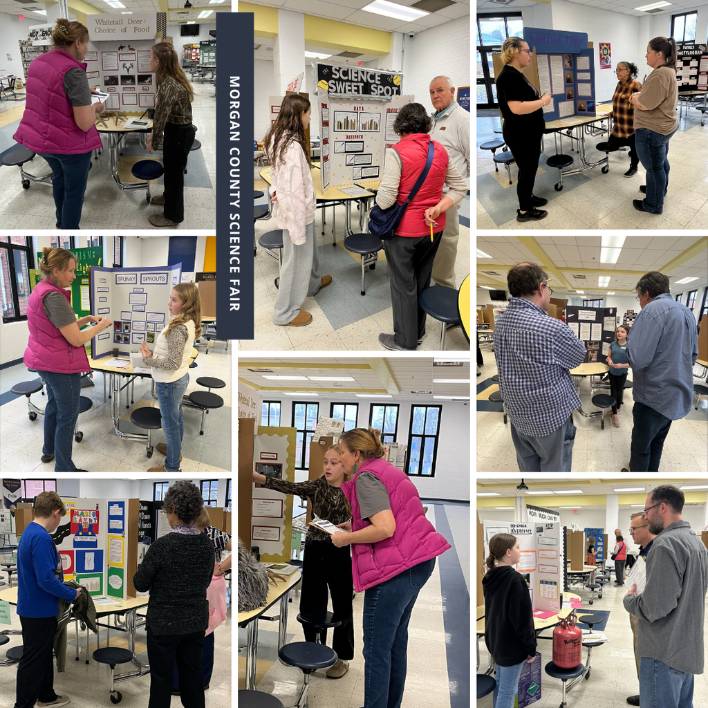 Collage of students sharing science fair projects.