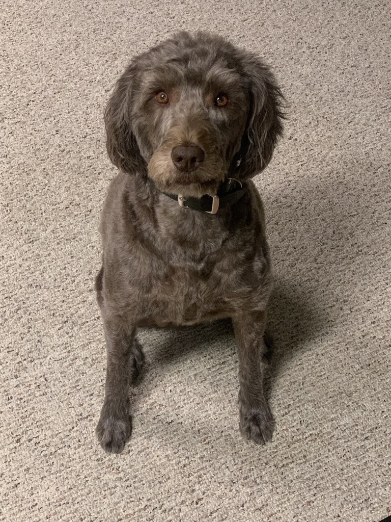 Skye