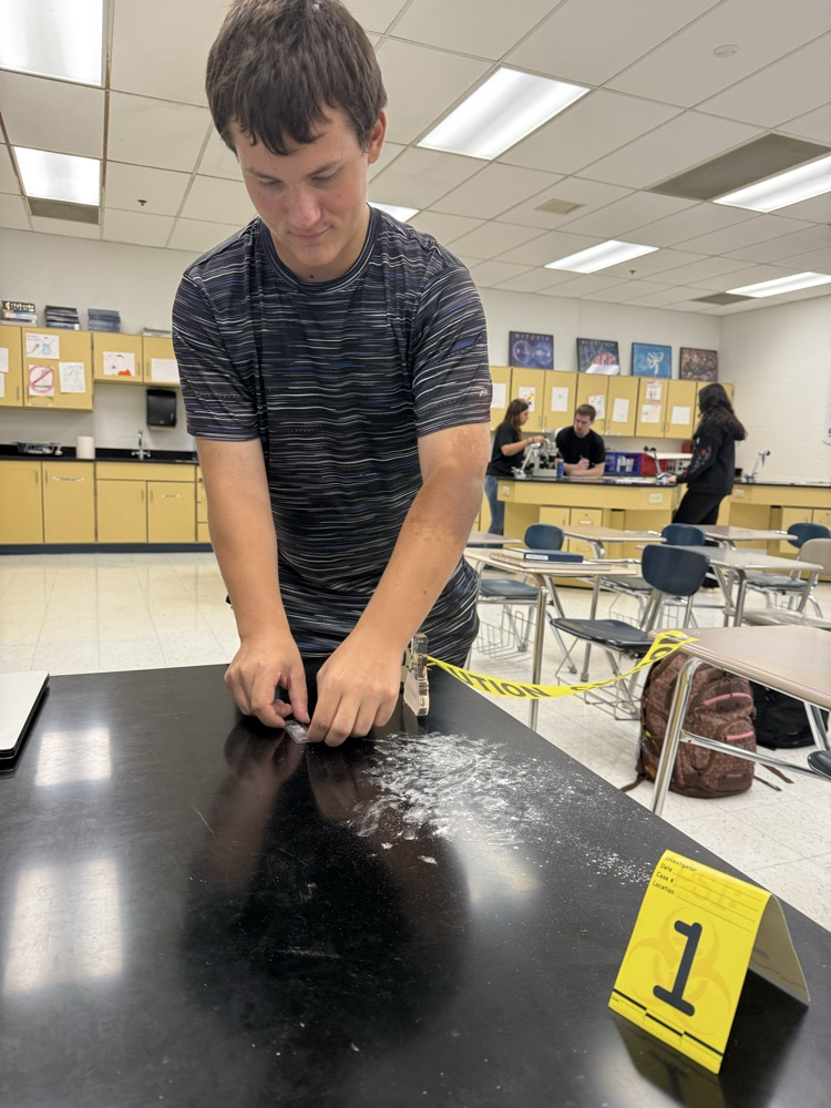 lab