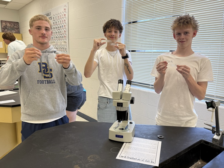 lab