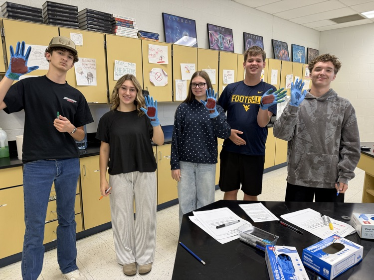 skeletal system