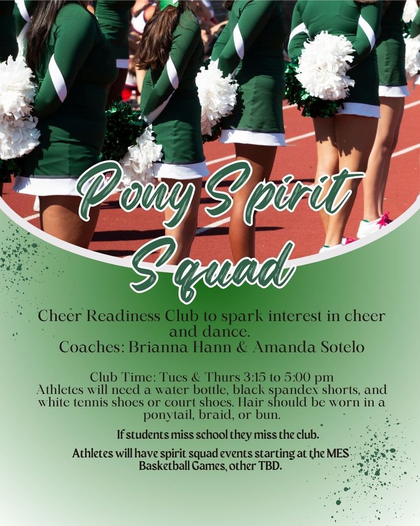 Pony Spirit Squad