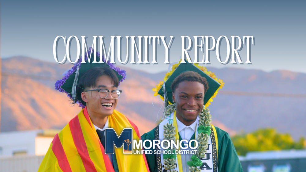 Community report decorative image