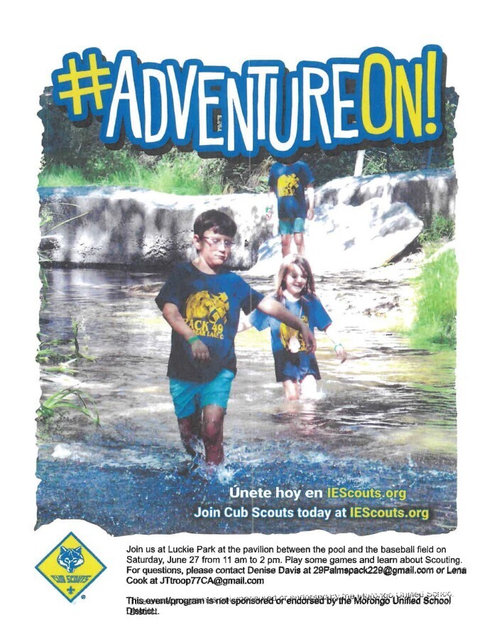 cub scouts flyer