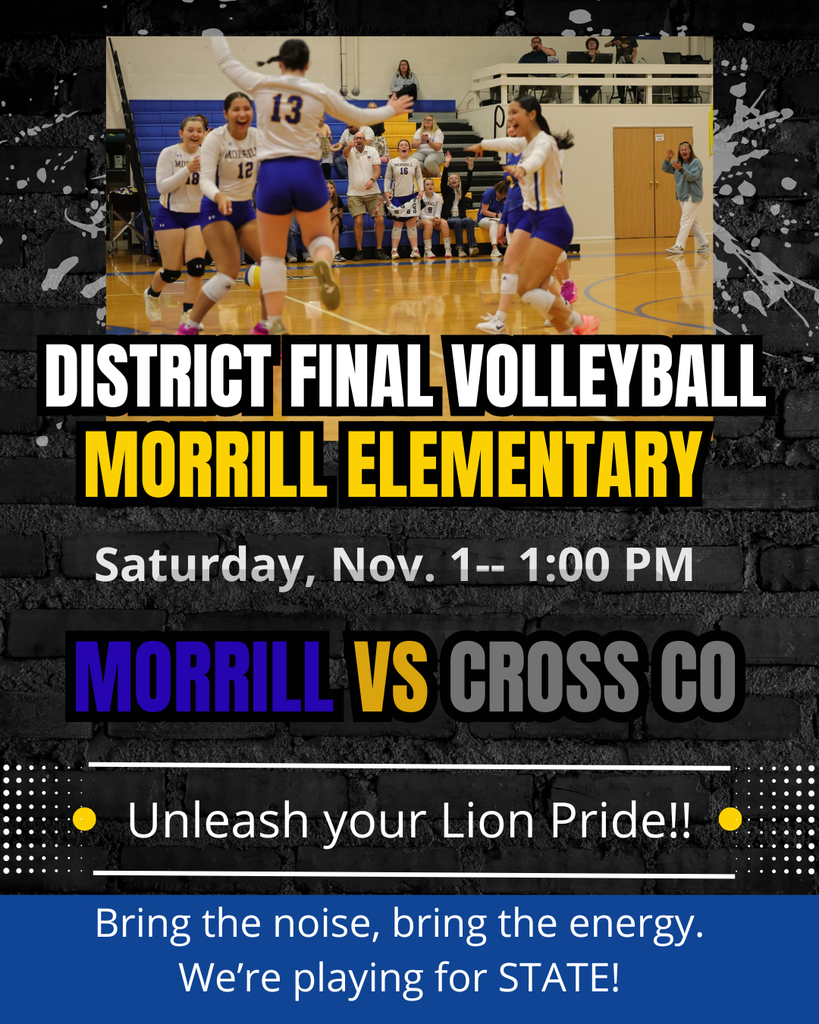District VB Flyer