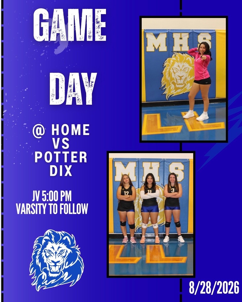 Lady Lion Volleyball - Game Day!