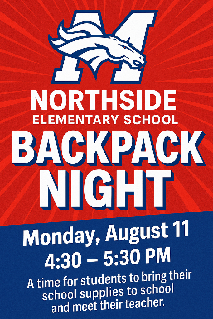 NS Backpack Night Flyer