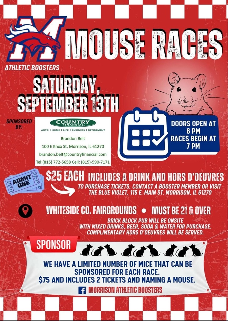 Mouse Race Flyer