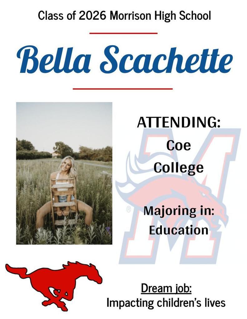 Bella Scachette