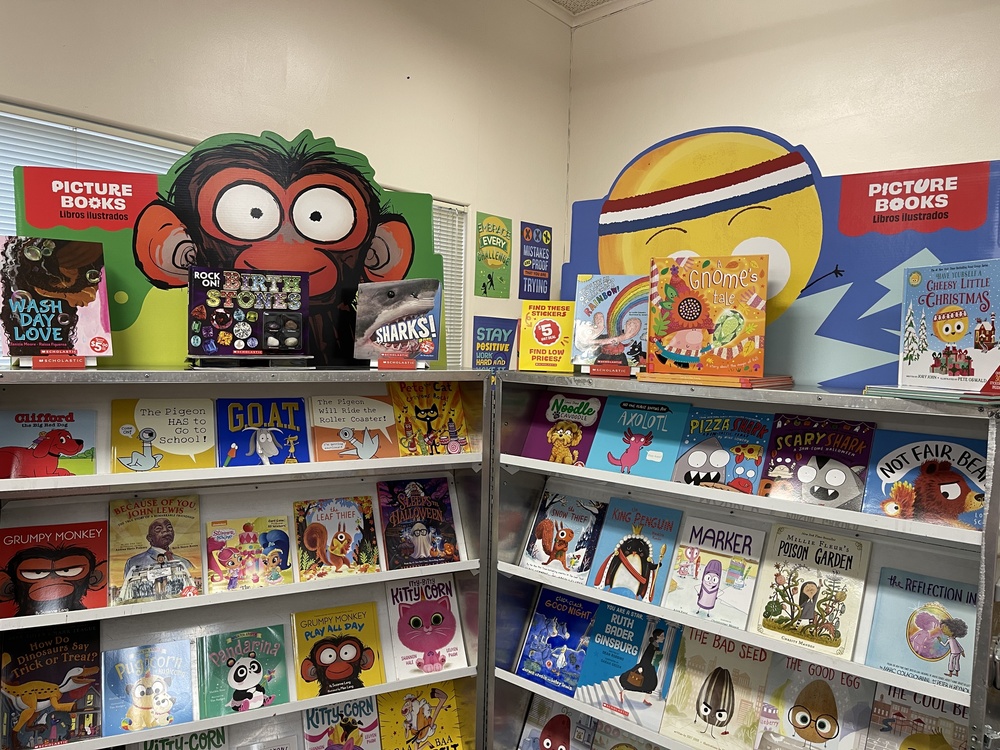 Picture books arranged on  shelves