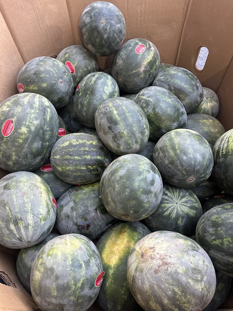 watermelon
