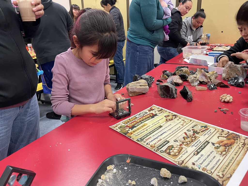 Student places rocks and gems in display case