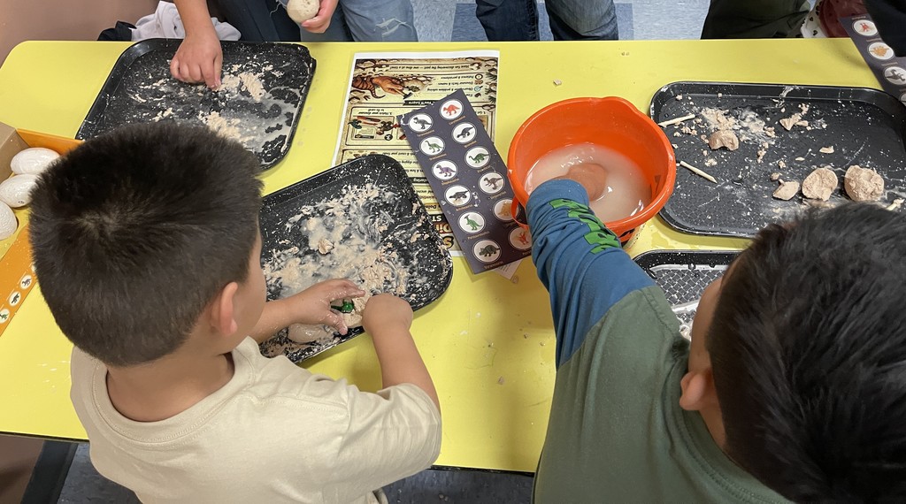 Students Excavate Dinosaurs from Model Eggs