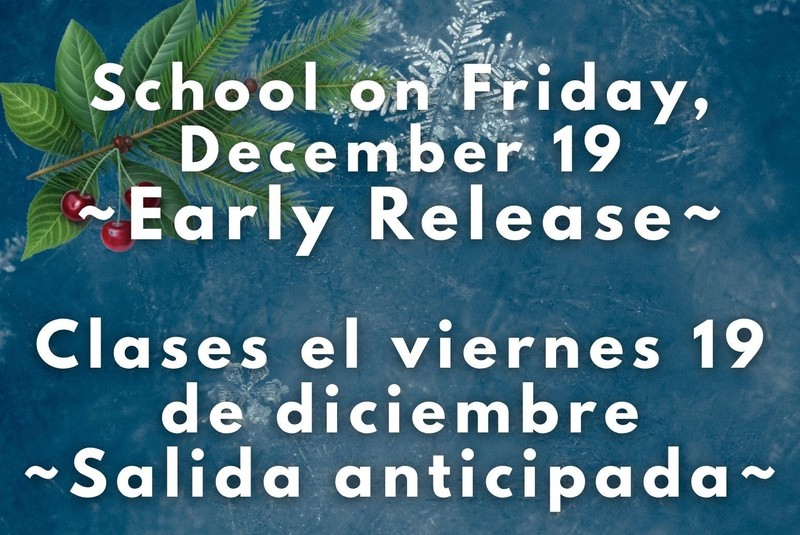 blue background and holly