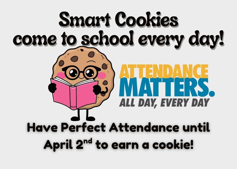 a cookie wearing glasses and reading a pink book